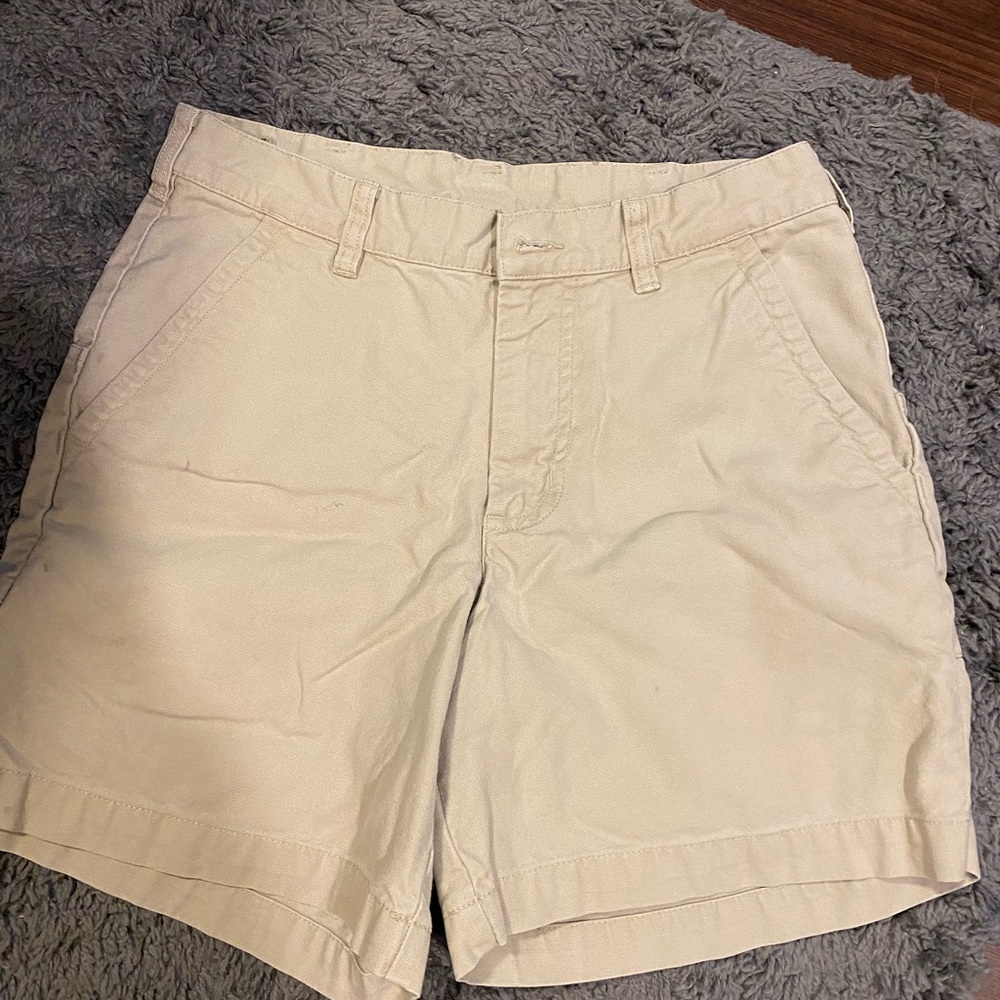 Patagonia Khaki Shorts